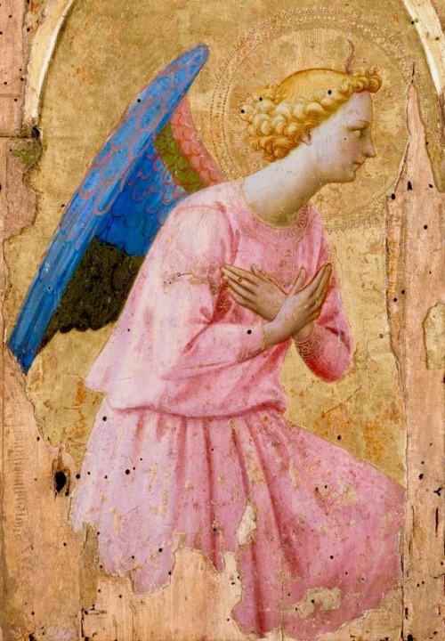 historyofartdaily:Fran Angelico (circa 1400 - 1455), Angel, source