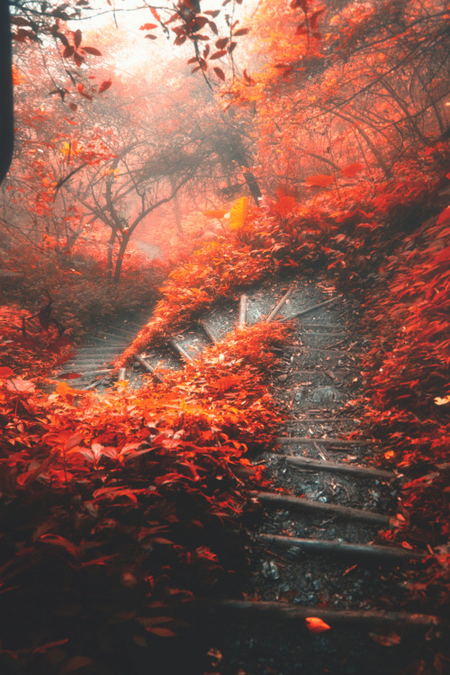 upstairsdownstairsandinbetween: The S-Shaped path, Taiwan,Photo by Hanson Mao(毛延延)