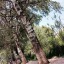 crescent-fall-blog