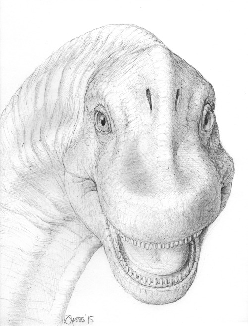 Brachiosaurus by Brett Gross. Ball-point pen on sketch paper. 11″x14″.