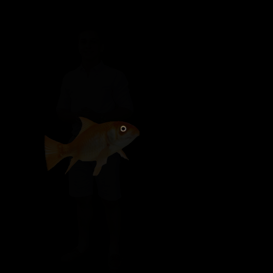 branewurms:  i-am-a-fish: jaehosoek:   i-am-a-fish:   nelliepup2:  i-am-a-fish:   pepprmintyy:  i-am-a-fish:   d-log69:  i-am-a-fish:   tea-withnofixinsplease:   i-am-a-fish:   candleroots:  i-am-a-fish:  it’s dark  lemme help you with that @i-am-a-fish