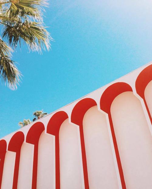 From the #questioneverywhere feed, @roseehale’s image of Palm Springs captures the color and i