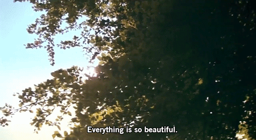 quotes-and-gifs:  Are you a teen? This blog is for you!