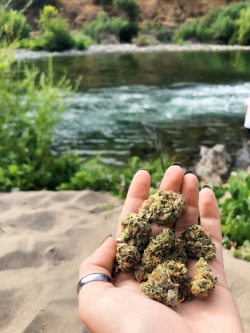 hazeydabs:  views🌿💨