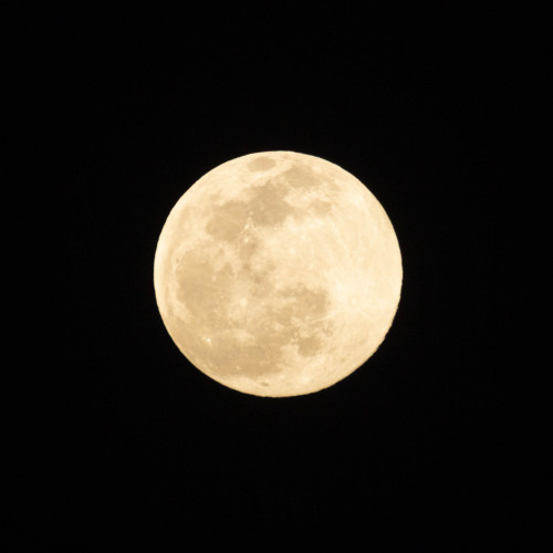 NO WARFull moon (Apr. 16, 2022)