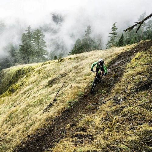 mtbikinglove:  Oregon riding . #mountainbikes #mountainbike #MTB #mtbtrails #mtbtrail #trails #Bike 