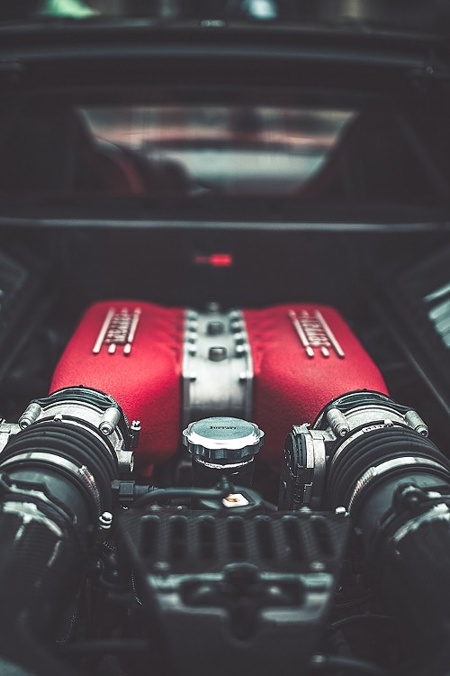 supercars-photography:
“ Ferrari 458 Heart
”