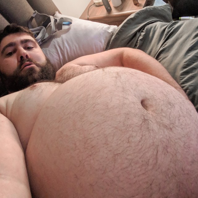 gutgrowing12:Swollen ballooning pig belly.