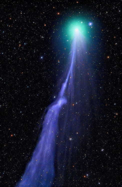 the-wolf-and-moon:Comet Lovejoy, Cosmic Magic Wand