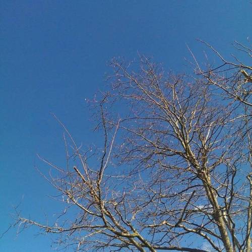 And you all said there would be rain&hellip;.thank you #Melbourne #blueskies #fornow #winter