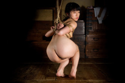 The Art Of Kinbaku