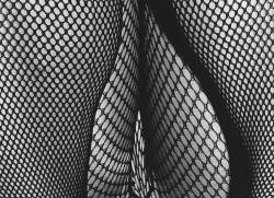 absynthmind:  Daido Moriyama