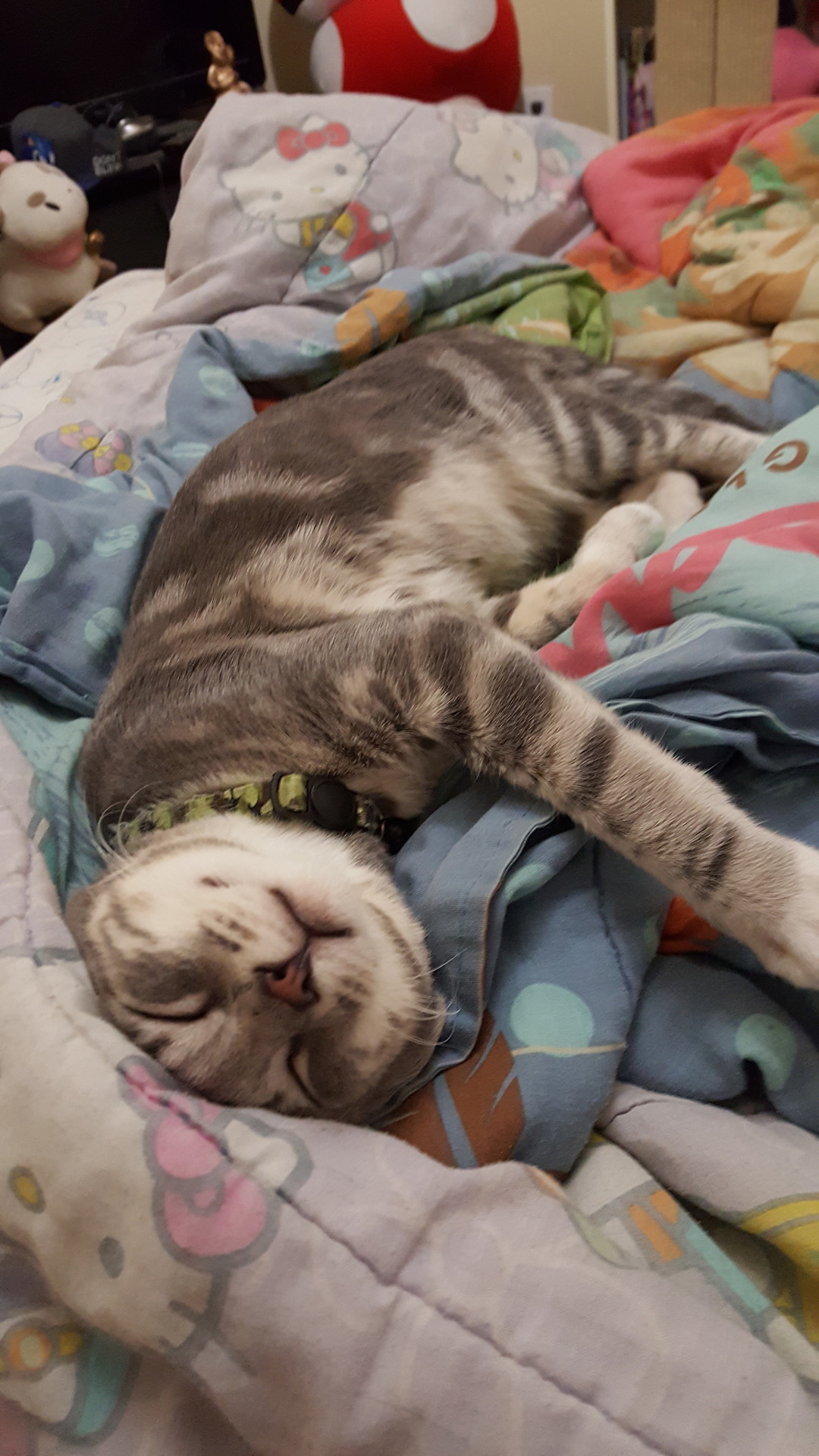 CATANIST