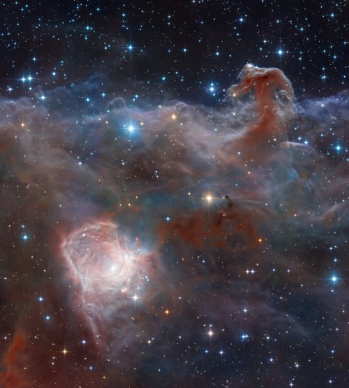 Horsehead: A Wider View Composition and Processing: Robert Gendler 