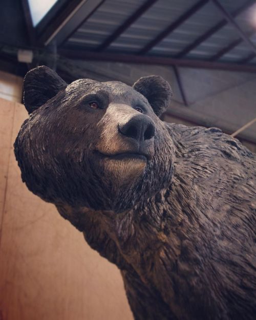 Arctodus simus. Turolian bear. #bear #arctodus #turolian #os #oso #ursus #baren #bären #animalsculpt