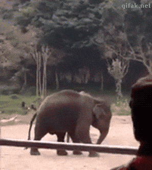 extrafunnypicture:Click here to watch daily fun : http://extrafunnypicture.blogspot.com/ #fun #funny #jokes #humor #funnygif