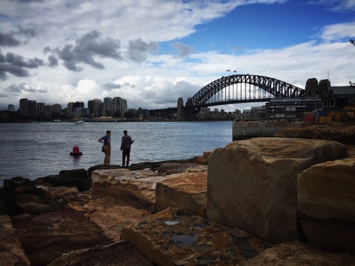 View of the Harbour Bridge from Barangaroo | © Saying Hello (November 2015)Follow me on instagram at