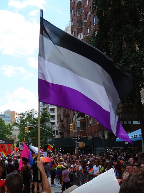 NYC Pride Parades 2019