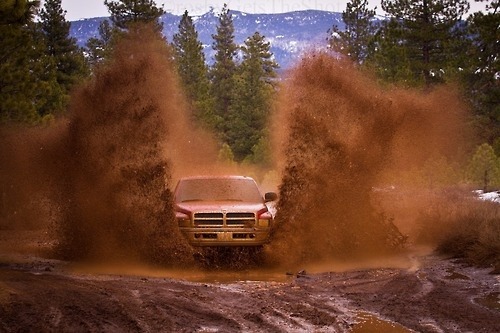 BeardsBluntsBroncos