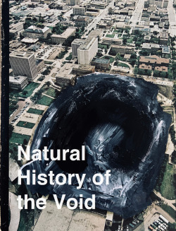 cyberianpunks: natural history of the void