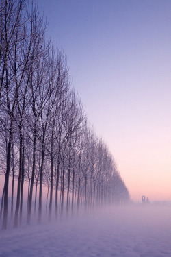 sundxwn:  A typical foggy by Clickalps .com 