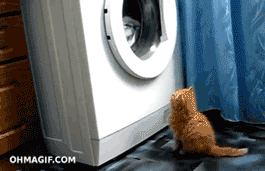 the-absolute-funniest-posts:  lolsofunny: (lol here!)   This post has been featured on a 1000notes.com blog.