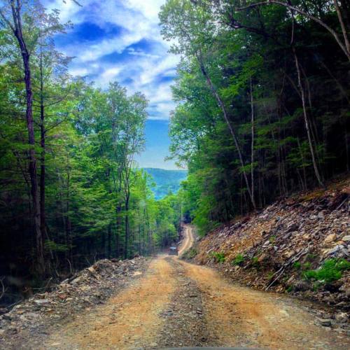 Put my #Subaru through the ultimate test today… A haul road straight up the mountain. #forest