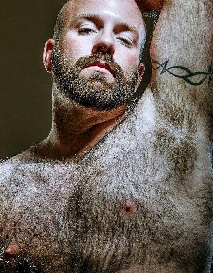 hairypo: Woooooooooffffff hairy hairy guy 