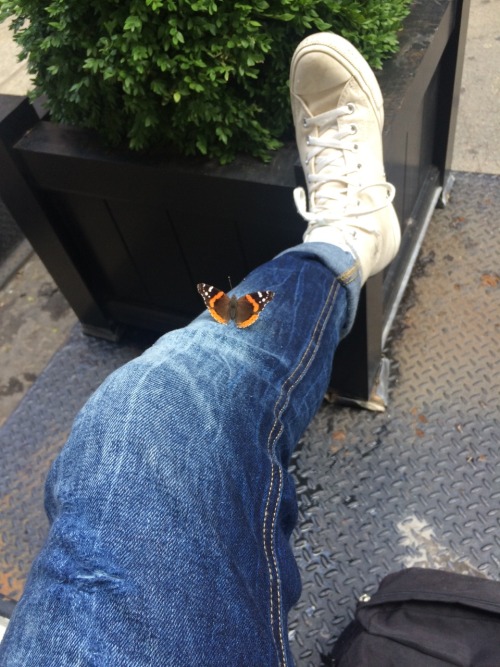 nanidiom:  so this just happened to me