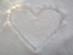 IL TUO CUORE&hellip;.. PIU&rsquo; FREDDO DELLA NEVE !!!   THEWOLF 