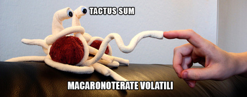 Tactus sumMacaronoterate VolatiliI&rsquo;ve been touchedBy the Flying Spaghetti Monster