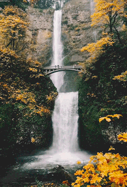 Banshy:multnomah Falls