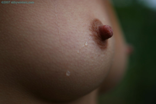 niftypokies:  Yvette