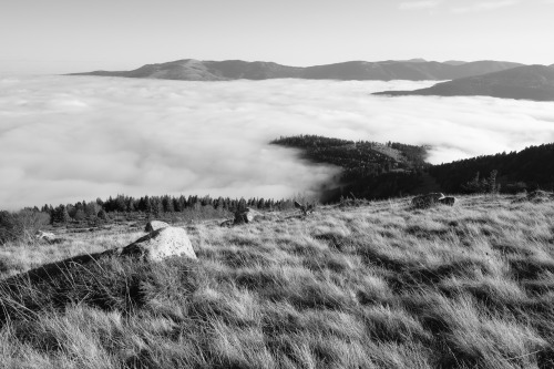 Cloud Inversion, Vosges