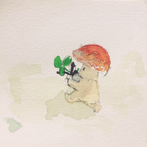 studio-thomas-walsh:A little mushroom finds a puddle