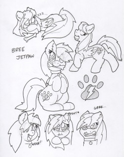 askbreejetpaw:  A little something for the