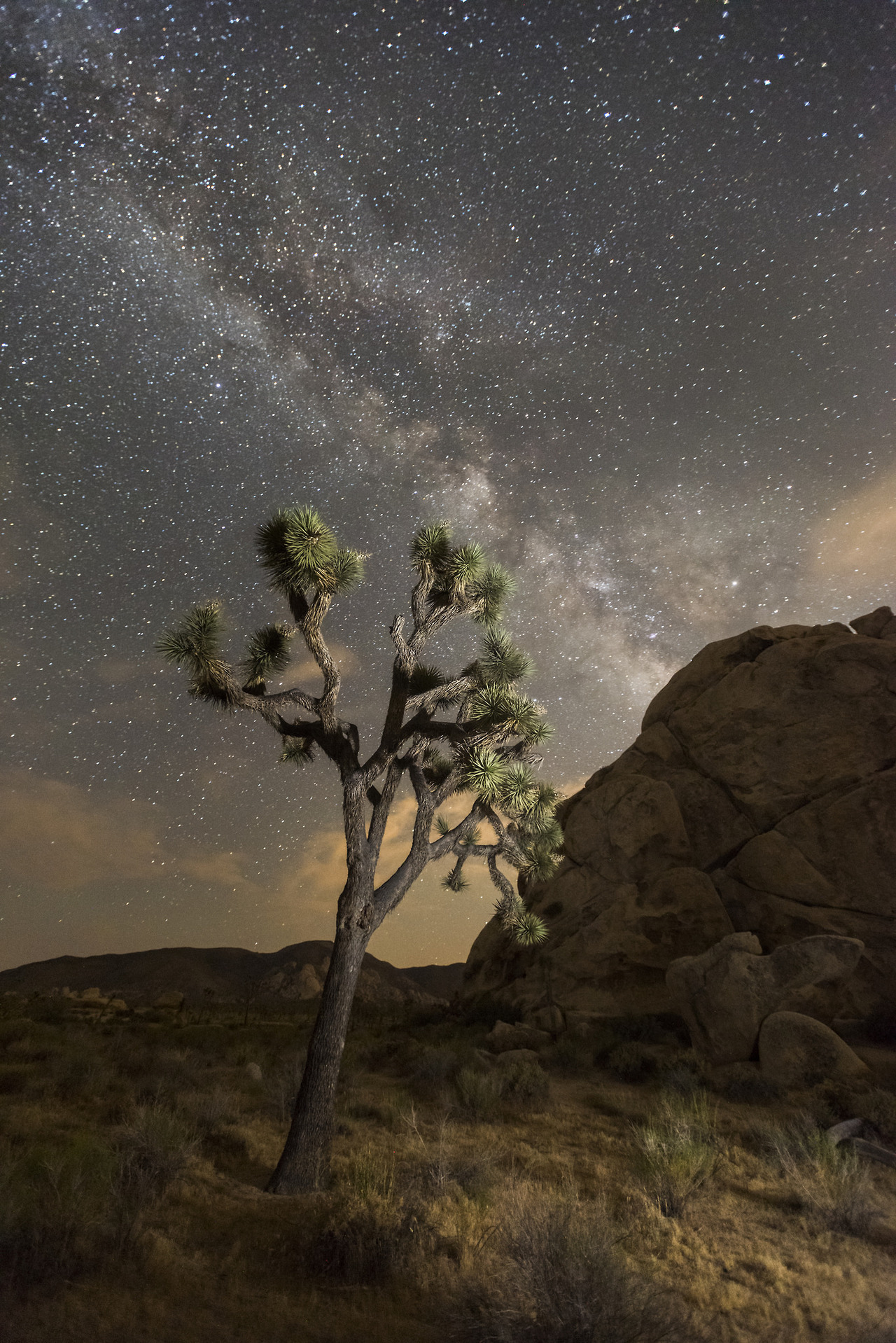 Americas Great Outdoors The Night Sky Over Joshua Tree National Park