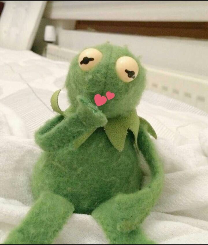 wholesome kermit plush