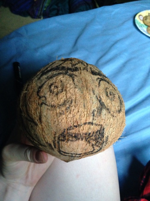toopsy:I drew armin on a coconut