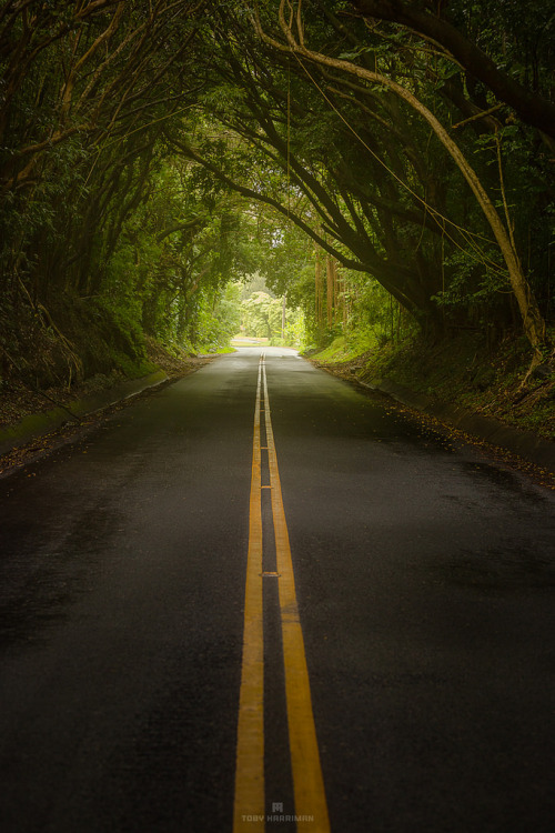 Adventure Way by Toby Harriman.