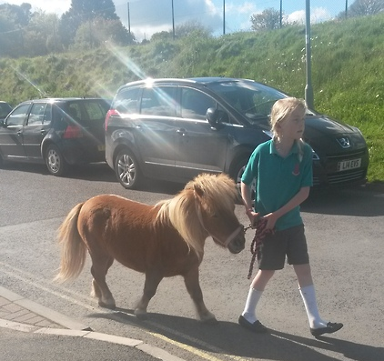 lydiduh:alfronaut:this was the most surreal experience of my life this girl with a Tiny Pony walked 