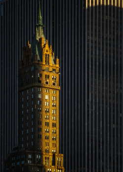 New York by Dieter Krehbiel