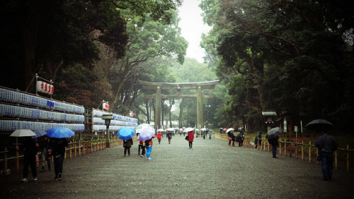 Meiji Jingū in the Rain by Rekishi no Tabi on Flickr.