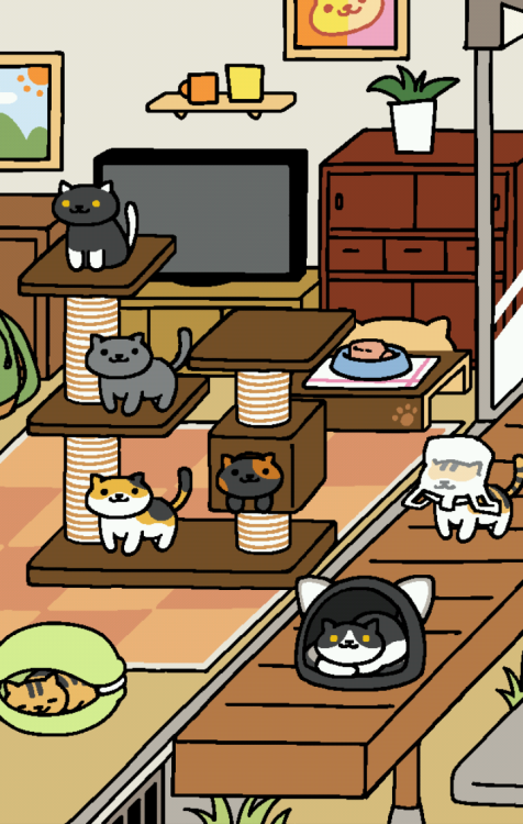 offsprang:These cats are ruining my life