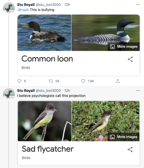 pterygota:thegunlady:  bird twitter is lighting up   my mom said her sister would insult people by calling them bird names such as “yellow-bellied sapsucker” and “red-headed woodpecker” (last one reserved for people with red hair)