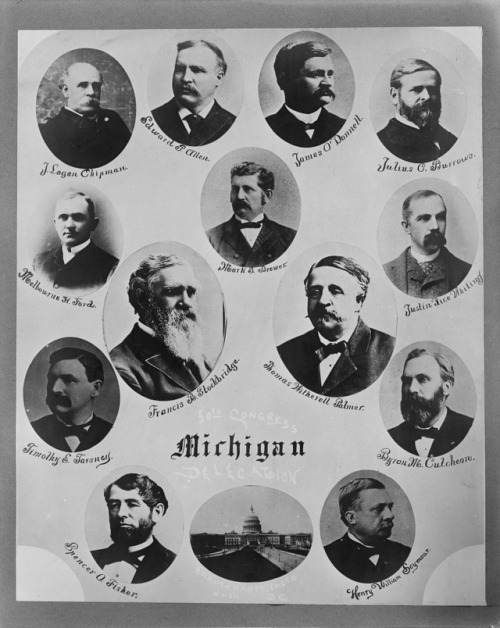 Michigan delegates of the 50th United States Congress, 1887-1888(from the Library of Congress)