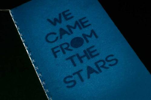 zogbooks:We came from the stars- infinite monkis -now on pre-order!http://zogbooks.com/product/we-ca