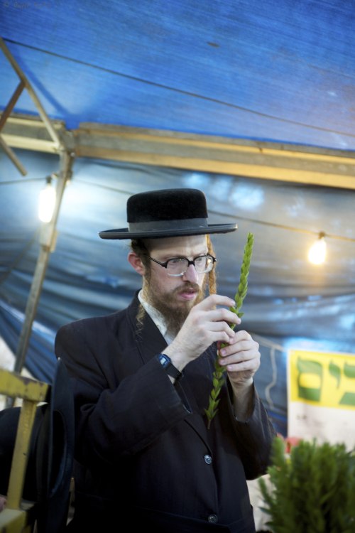 lonetreebeer: Preparing for Succot in Mea Shearim, Jerusalem