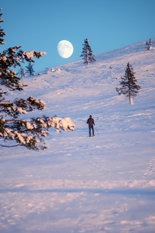 Our honeymoon in Finnish lapland. &lt;3