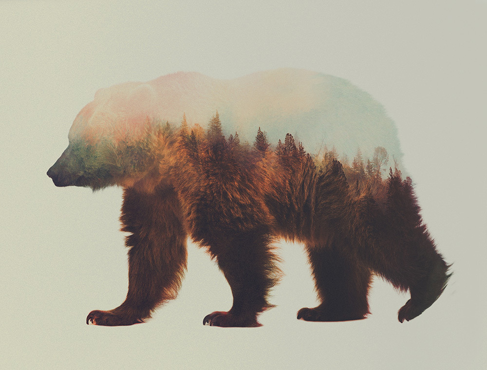 foxmouth:  Double Exposures, 2014 | by Andreas Lie 